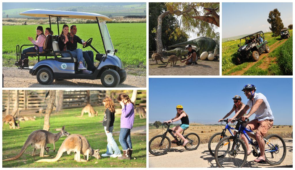 חוויות ניר דוד