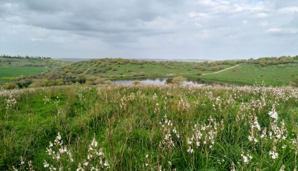 נחל רז | צילום: טל אורם